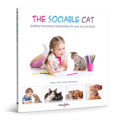 The Sociable Cat