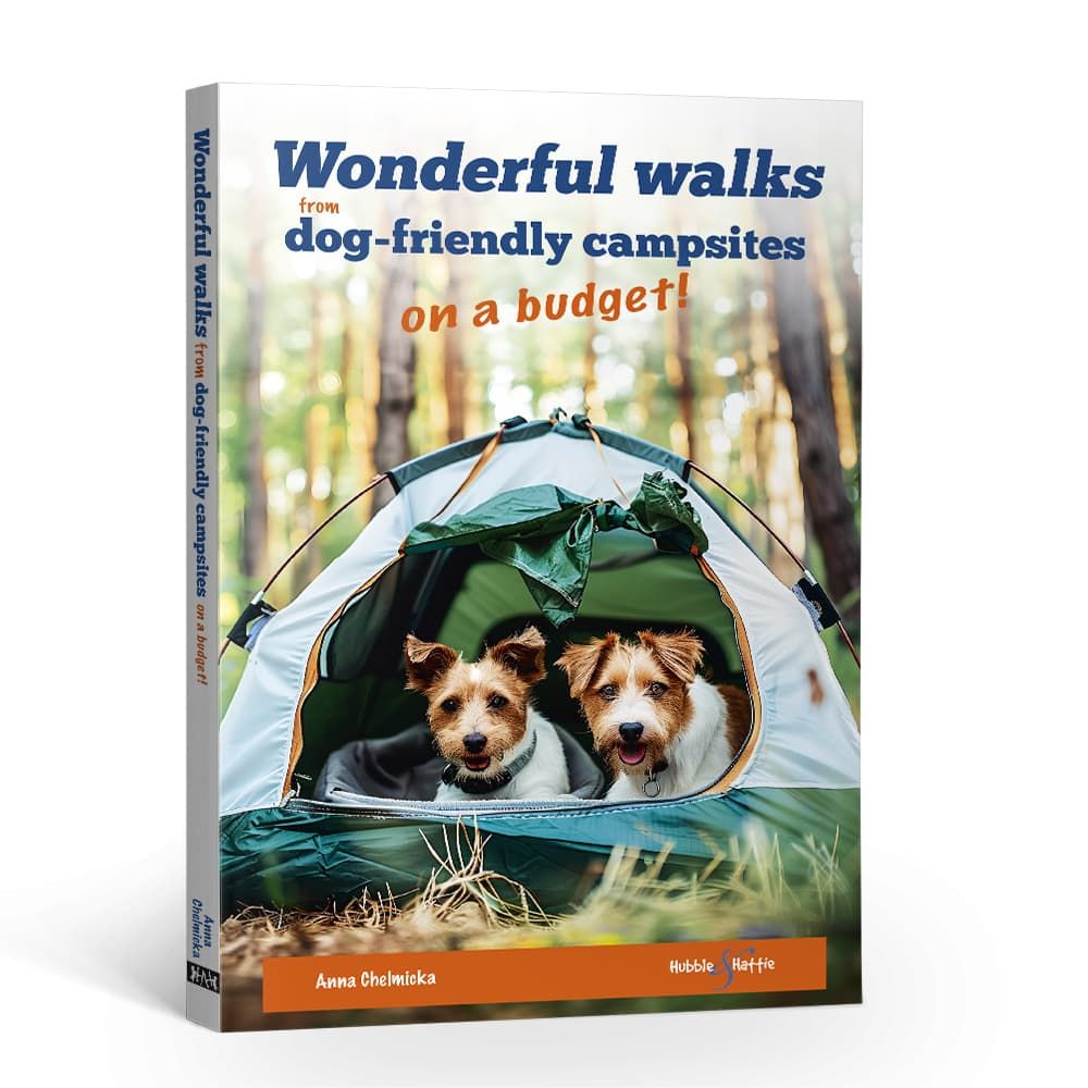 Wonderful walks from dog-friendly campsites …