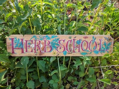 Herb Camp for Kids