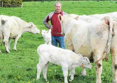 Famille Henry, à Coatascorn