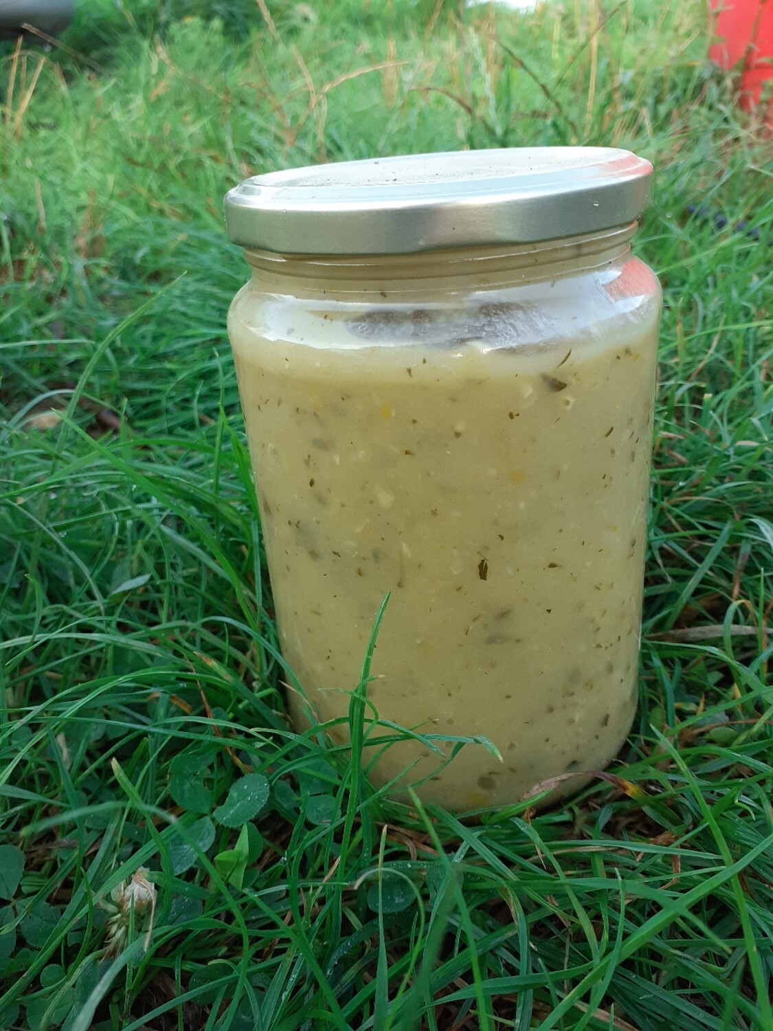 Soupe de courgette fait maison 500ml bio Soupe de courgette fait maison 500ml bio