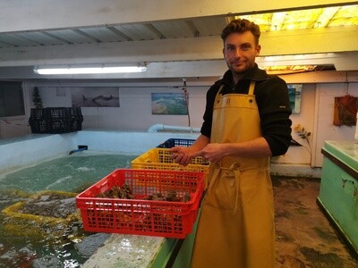 Julien à l&#39;ile grande