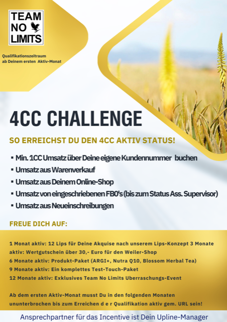 4CC-Incentive Flyer - 10 Stück