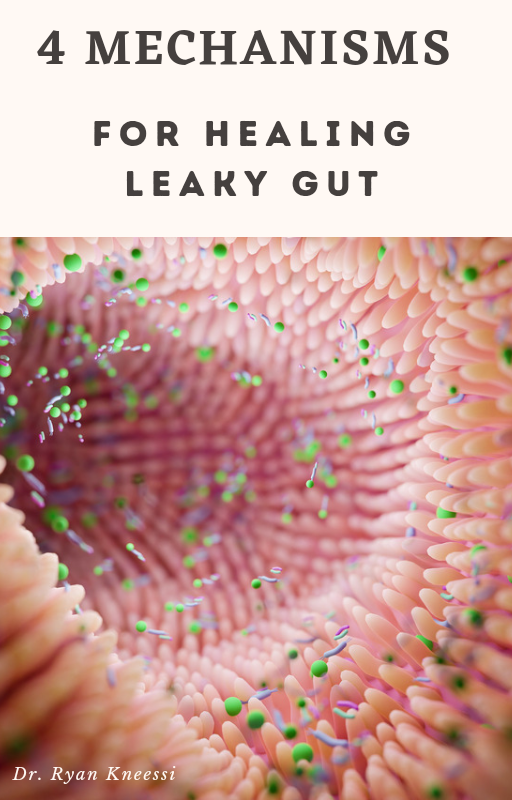 Leaky Gut Guidebook Protocol Bundle