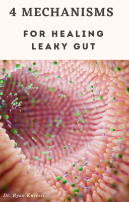 Leaky Gut Guidebook Protocol Bundle