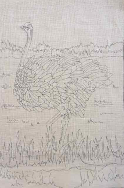 Large Ostrich (Elizabeth Black Collection)