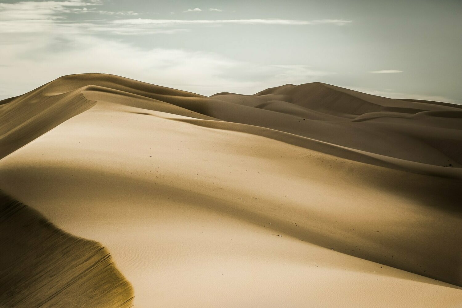 Dune