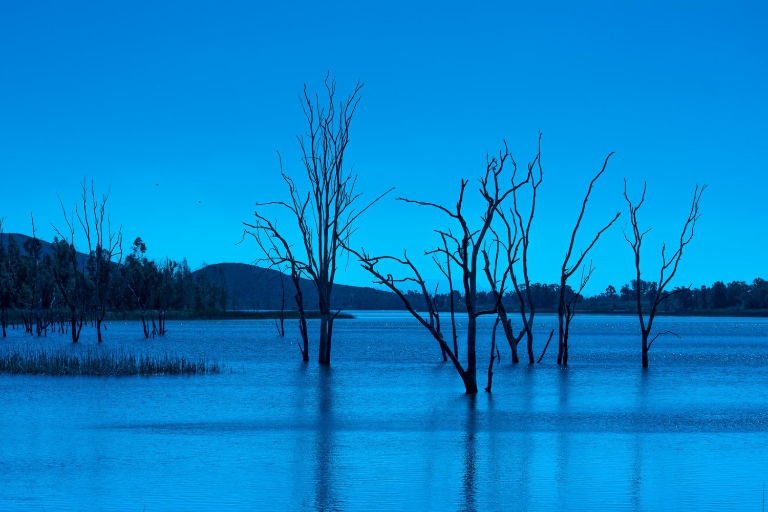 Out of the Blue