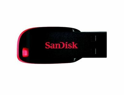 USB Flash Drive (16GB)