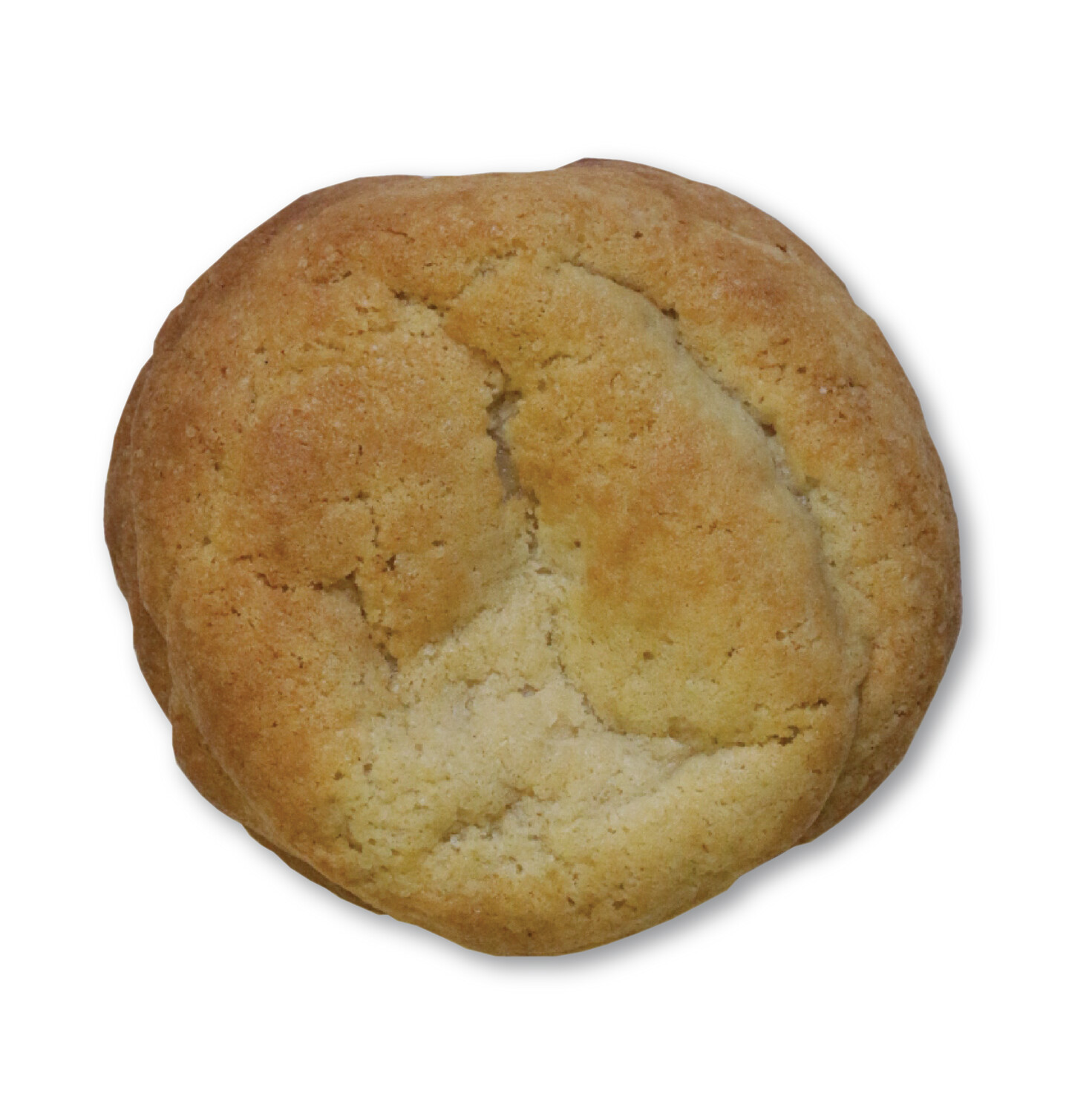 Plain Cookie