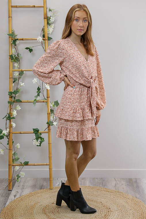 Fruity L/S Frill Mini Dress - Blush Petite Fleur