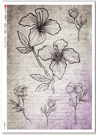 Flowers - 0354 - A4 Rice Paper - Paper Designs