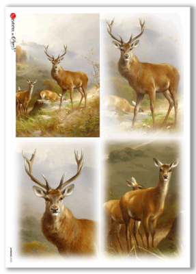 Animals-0103 Rice Paper - A4 - Paper Designs