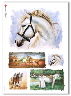 Animals-0072 Rice Paper - A4 - Paper Designs