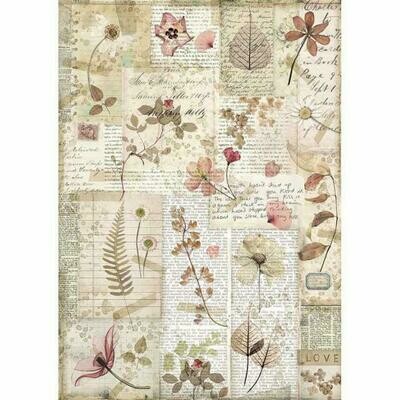 Imagine Pressed Flowers A4 Rice Paper - Stamperia Imagine Pressed Flowers A4 Rice Paper - Stamperia