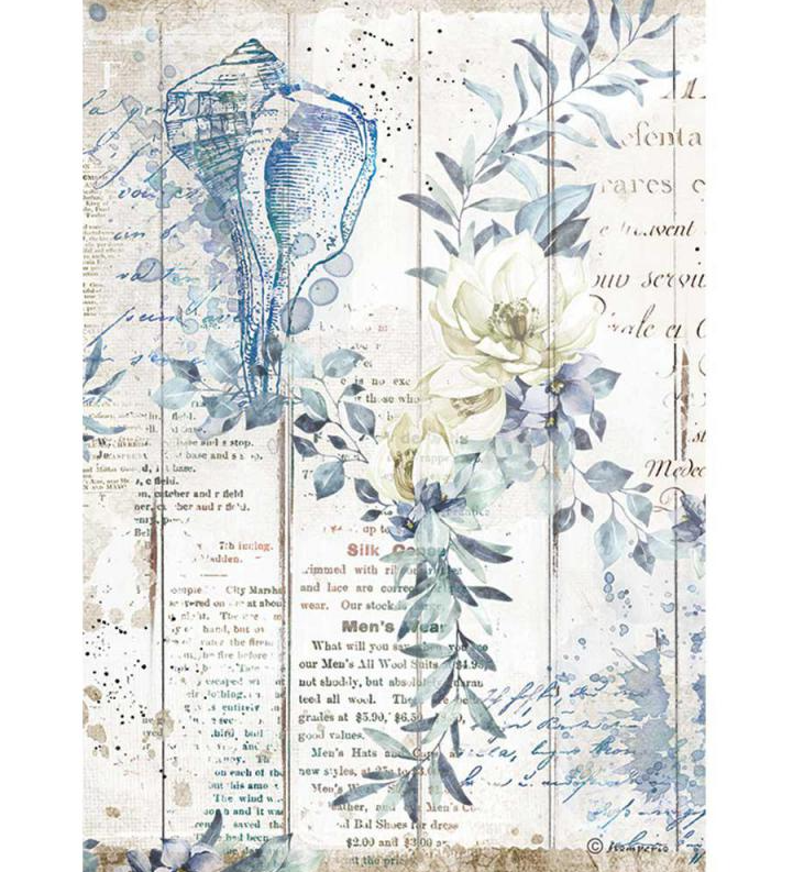 Shells A4 Rice Paper - Romantic Sea Dream Collection - Stamperia Shells A4 Rice Paper - Romantic Sea Dream Collection - Stamperia