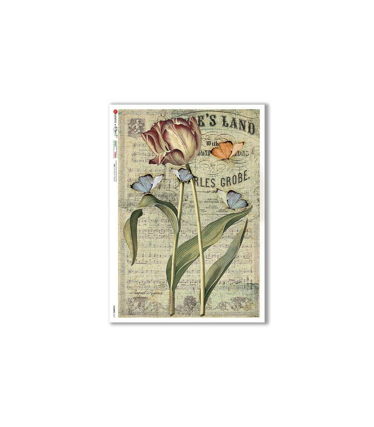 Flowers-0357 - A4 Rice Paper - Paper Designs
