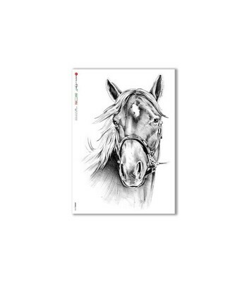 Animals-0165 - A4 Rice Paper - Paper Designs