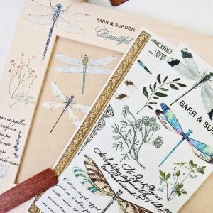 Spring Dragonfly - Redesign Decor Transfers - Re-Design With Prima