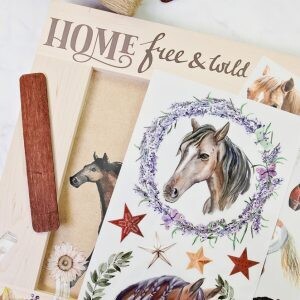 Wild Soul - Redesign Decor Transfers - Re-Design With Prima