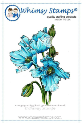 Himalayan Poppy - Whimsy Stamps
