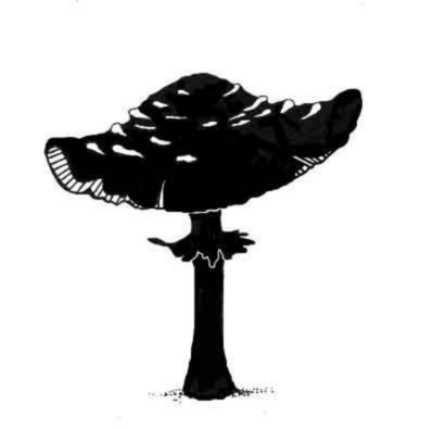 Toadstool - Lavinia Stamps