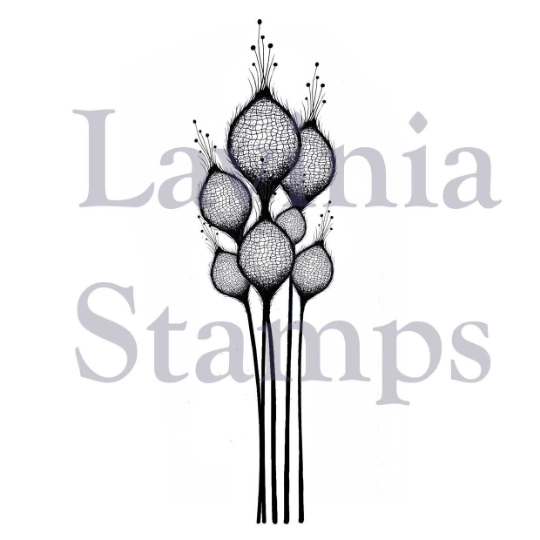 Fairy Thistles - Lavinia Stamps