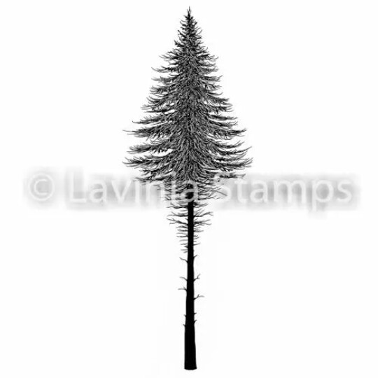Fairy Fir Tree 2 - Lavinia Stamps
