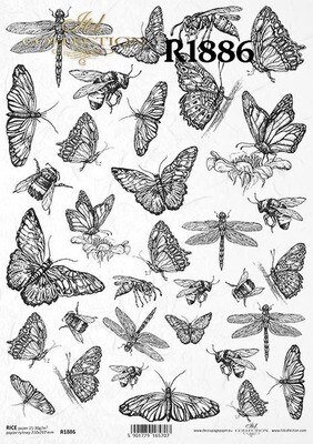 Butterflies, Bees, and Dragonflies A4 - ITD Collection