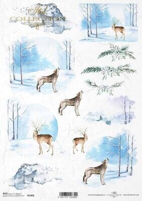 Winter Views A4 - ITD Collection