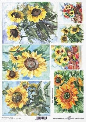 Sunflowers A4 - ITD Collection