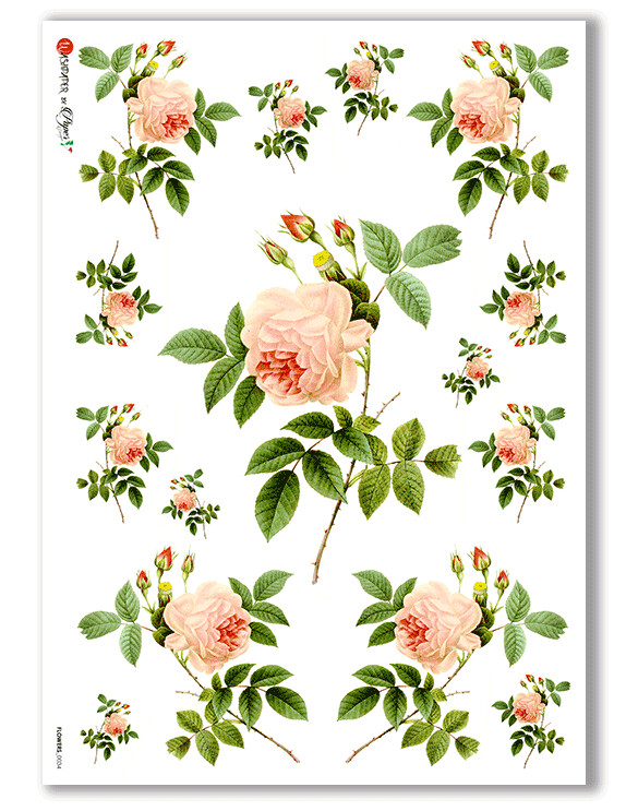 Flowers_0034 A4 - Paper Designs