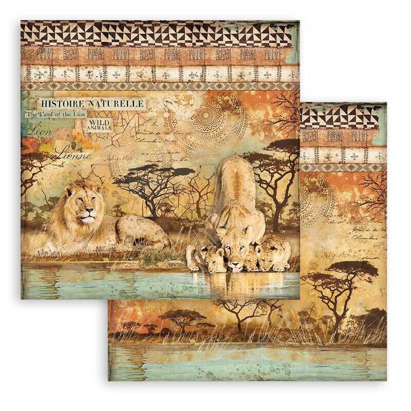 Savana 12x12 - Stamperia