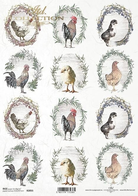 Hens and Roosters A4 - ITD Collection
