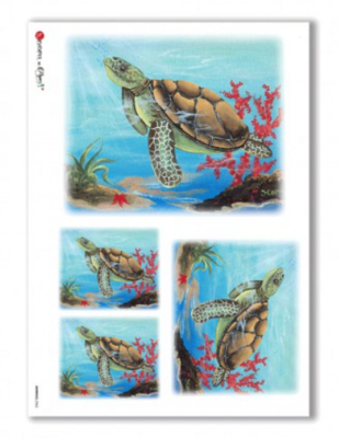 Animals A4 - Paper Designs