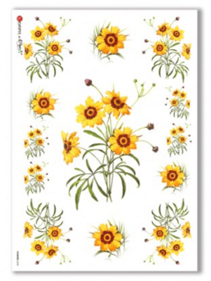 Flowers A4 - Paper Designs