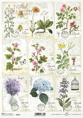 Flowers Collage A4 - ITD Collection