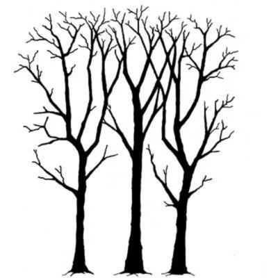 Spring Trees - Lavinia Stamps