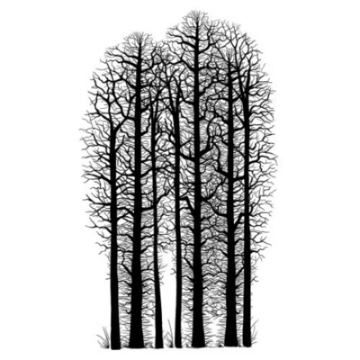 Forest Scene - Lavinia Stamps