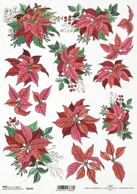 Poinsettia A4 - ITD Collection, Design: R2132 - Red