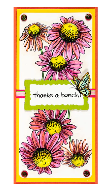 Frames and Borders - Stampendous!