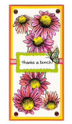 Frames and Borders - Stampendous!