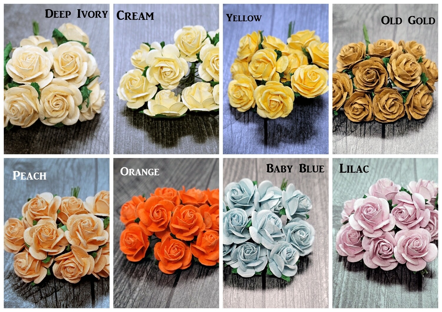 15mm Open Roses Color Set 4 - Promlee Flowers