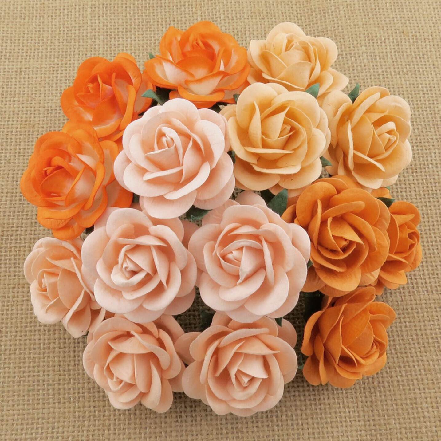 35mm  Peach/Orange Trellis Roses - Promlee Flowers