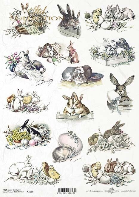 Easter Bunnies A4 - ITD Collection