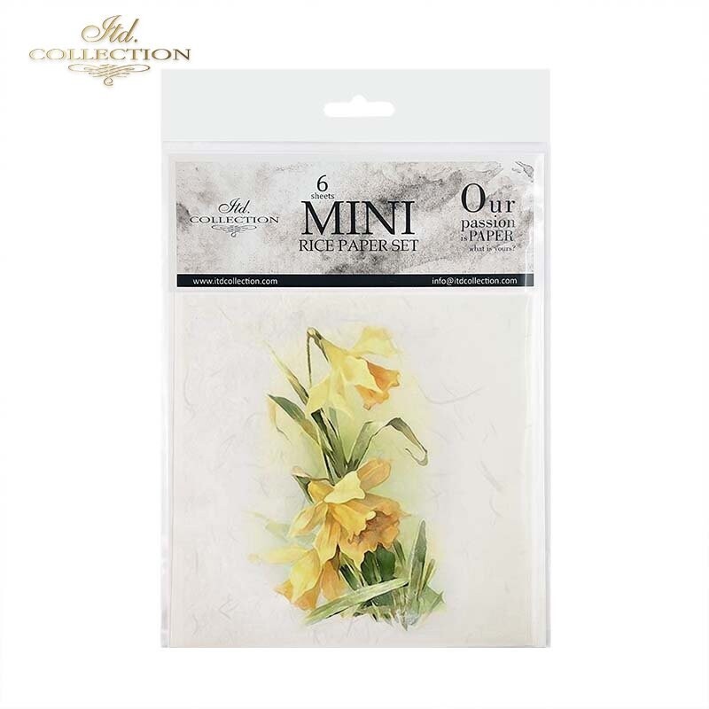 MINI Daffodils, Spring Flowers - ITD Collection