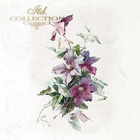 MINI Cornflowers, Field Flowers, Spring Flowers - ITD Collection
