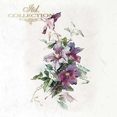 MINI Cornflowers, Field Flowers, Spring Flowers - ITD Collection