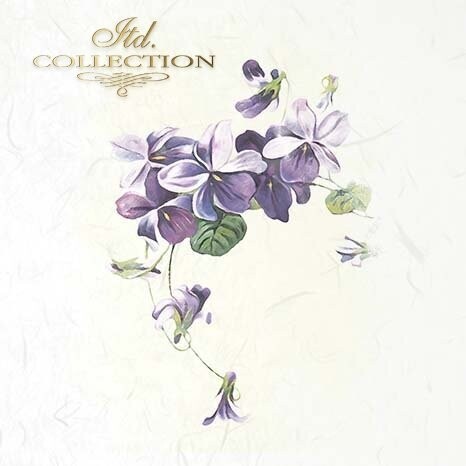 MINI Violets, Spring Flowers - ITD Collection