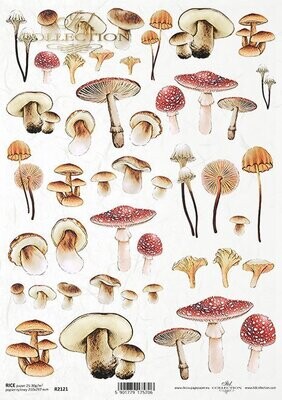 Mysterious Forest Mushrooms Rice Paper - ITD Collection